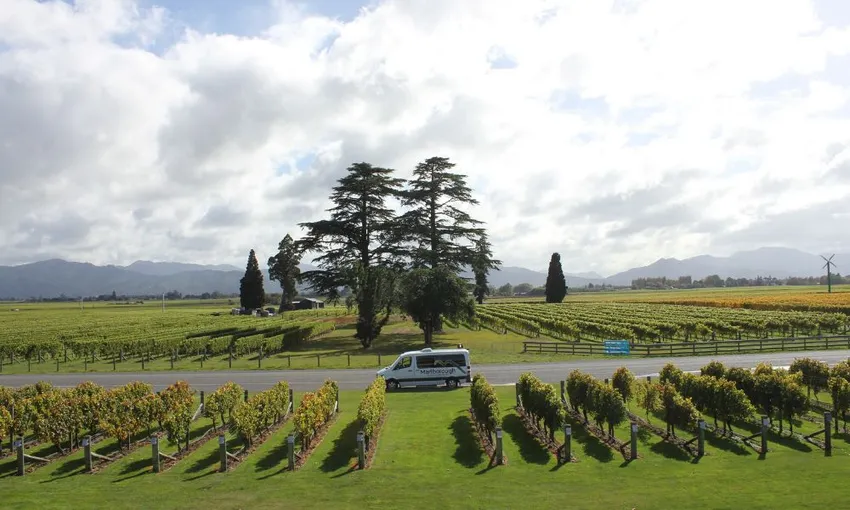Small Group Marlborough Wine Tasting Tour | Experience Oz
