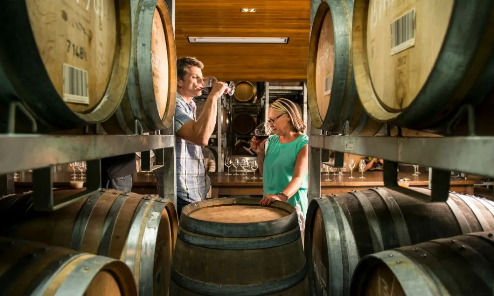 Small Group Marlborough Wine Tasting Tour | Experience Oz-3