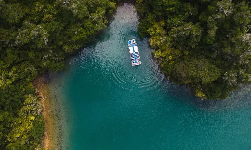 Pelorus Sound Mail Run Cruise from Havelock - Book Now | Experience Oz