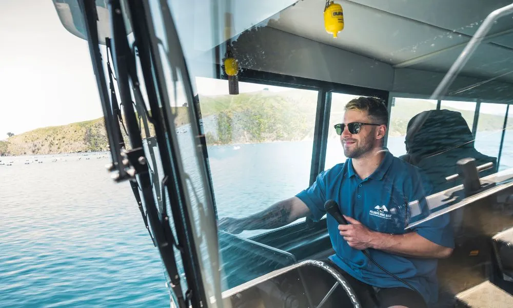 Pelorus Sound Mail Run Cruise from Havelock - Book Now | Experience Oz -5