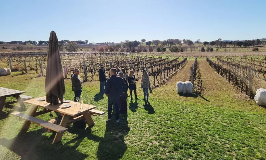 Canberra Winery Tour to Murrumbateman with Lunch | Experience Oz