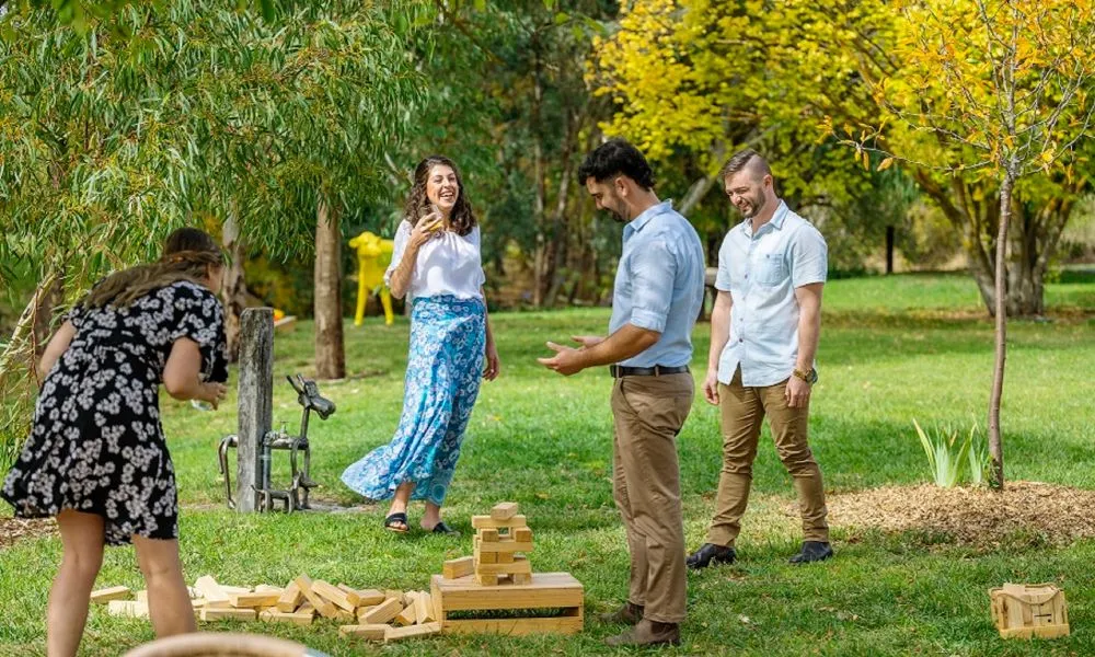 Ultimate Gin, Craft Beer, Wine and Cheese Tasting | Experience Oz-5