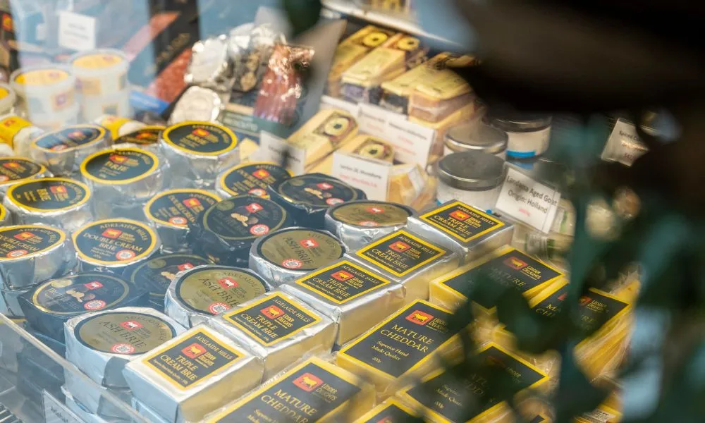 Ultimate Gin, Craft Beer, Wine and Cheese Tasting | Experience Oz-4