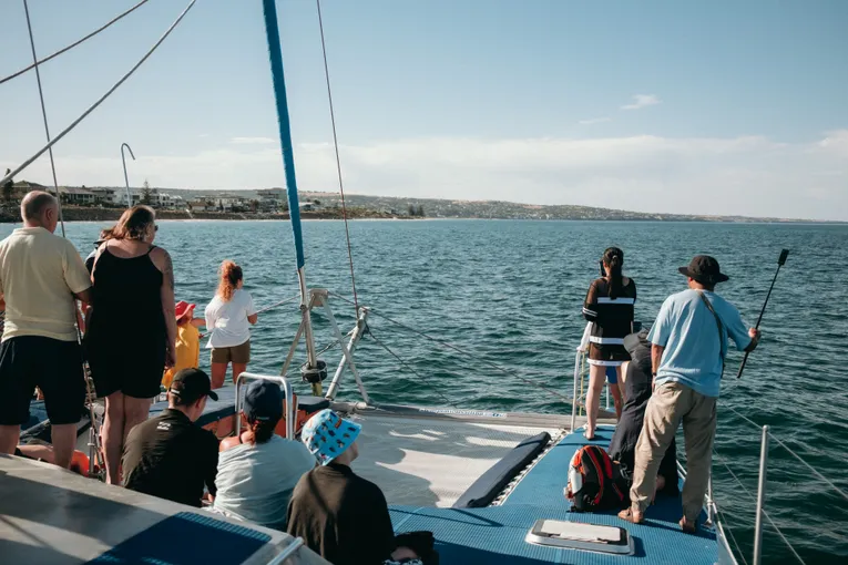 Adelaide Dolphin Cruise and Swim - Book Now | Experience Oz