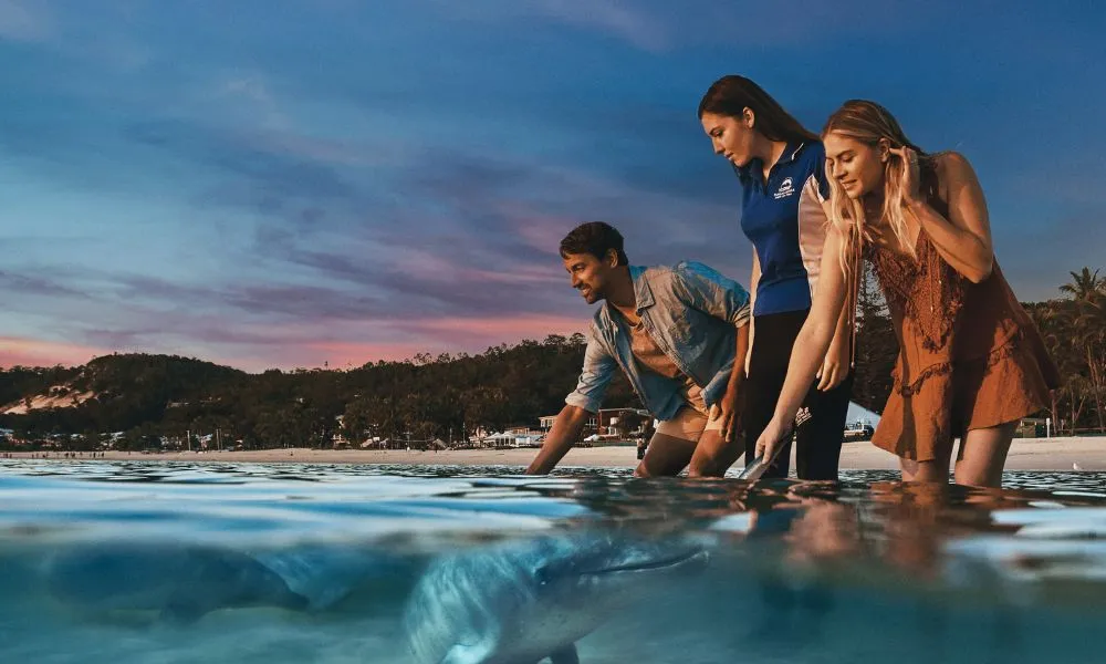 Moreton Island Whale Watching & Dolphin Feeding | Experience Oz-1