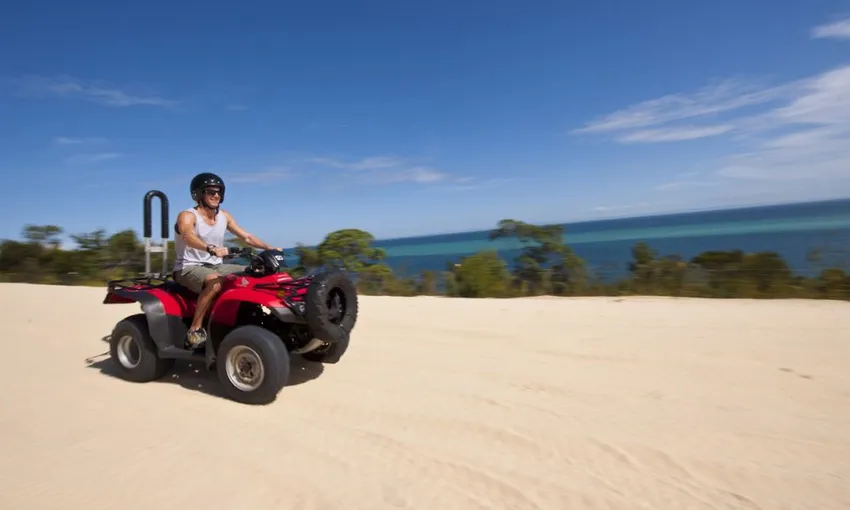 Tangalooma Day Trip, Dolphin Feeding & Bike Tour | Experience Oz