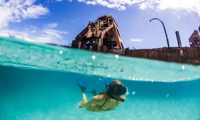 Moreton Bay Cruise with Snorkelling & Dolphin Feeding | Experience Oz