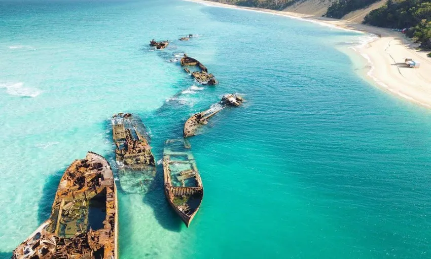 Moreton Bay Cruise with Snorkelling & Dolphin Feeding | Experience Oz