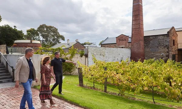 Hardys Hidden Tour with Wine Tasting & Grazing Plate - For 2