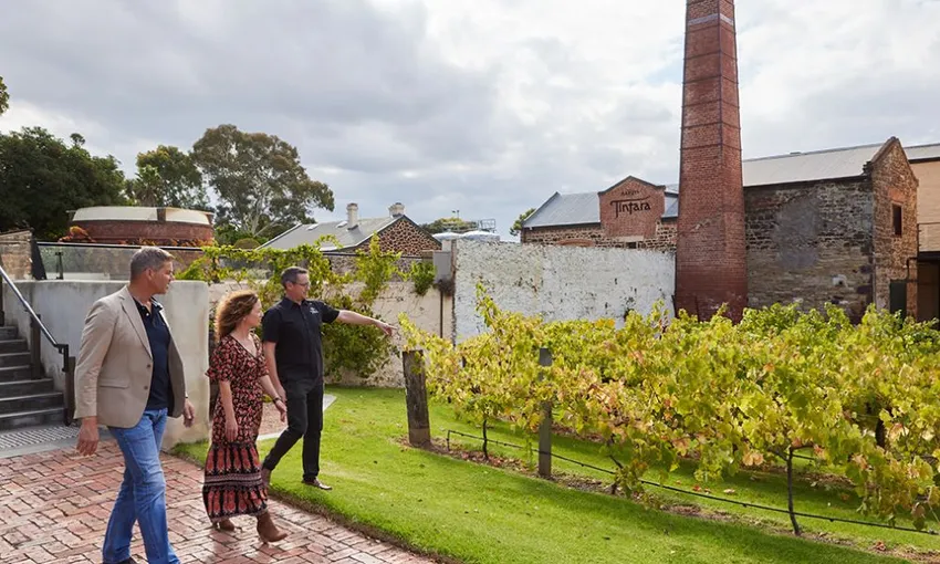 Hardys Hidden Tour with Wine Tasting & Grazing Plate - For 2 | Experience Oz