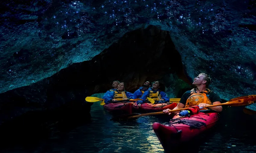 Rotorua Evening Starlight Gourmet Kayak Tour With Glowworms  | Experience Oz