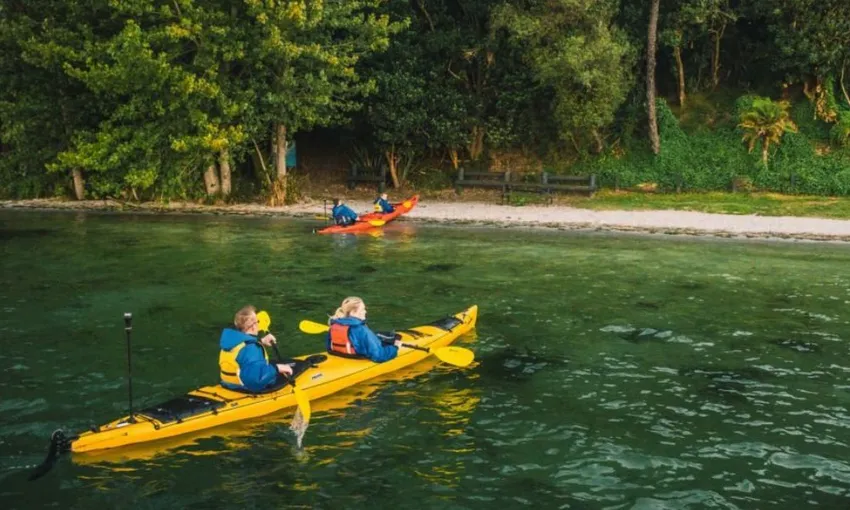 Rotorua Evening Starlight Gourmet Kayak Tour With Glowworms | Experience Oz