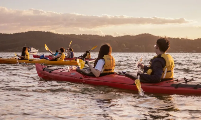 Rotorua Evening Starlight Gourmet Kayak Tour With Glowworms | Experience Oz