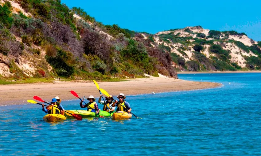 Coorong Guided Kayaking Tour with Lunch | Experience OZ