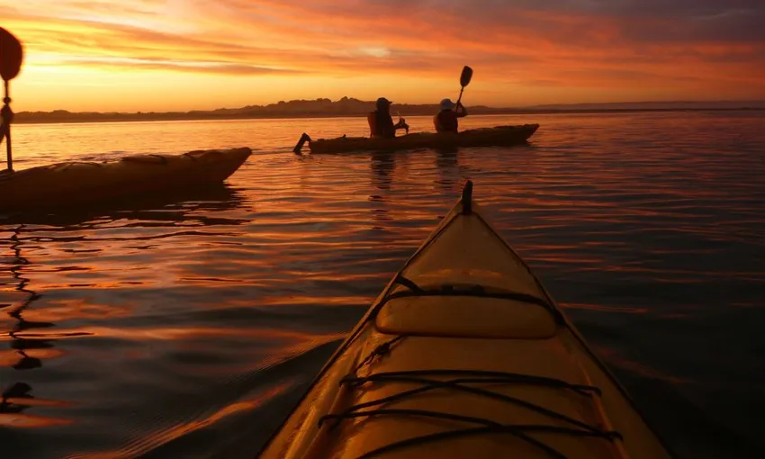 Coorong Sunset Kayaking Tour with Picnic | Experience OZ