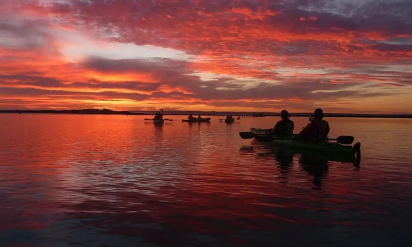 Coorong Sunset Kayaking Tour with Picnic | Experience OZ