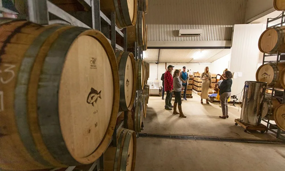 Upper Reach Winery Tour and Tasting with Lunch | Experience Oz-3