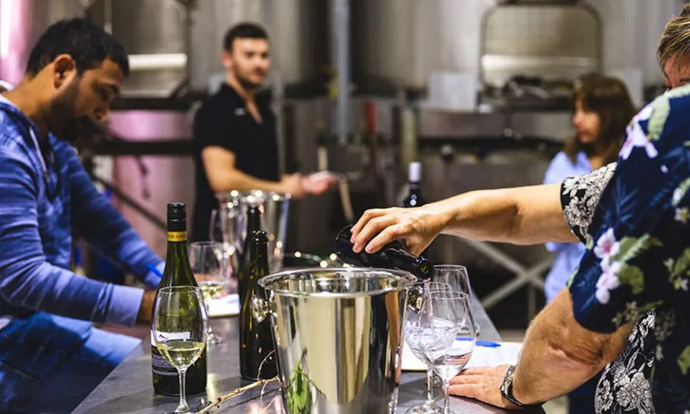 Wine 101 Class with 2 Course Lunch - For 2 | Experience Oz-3