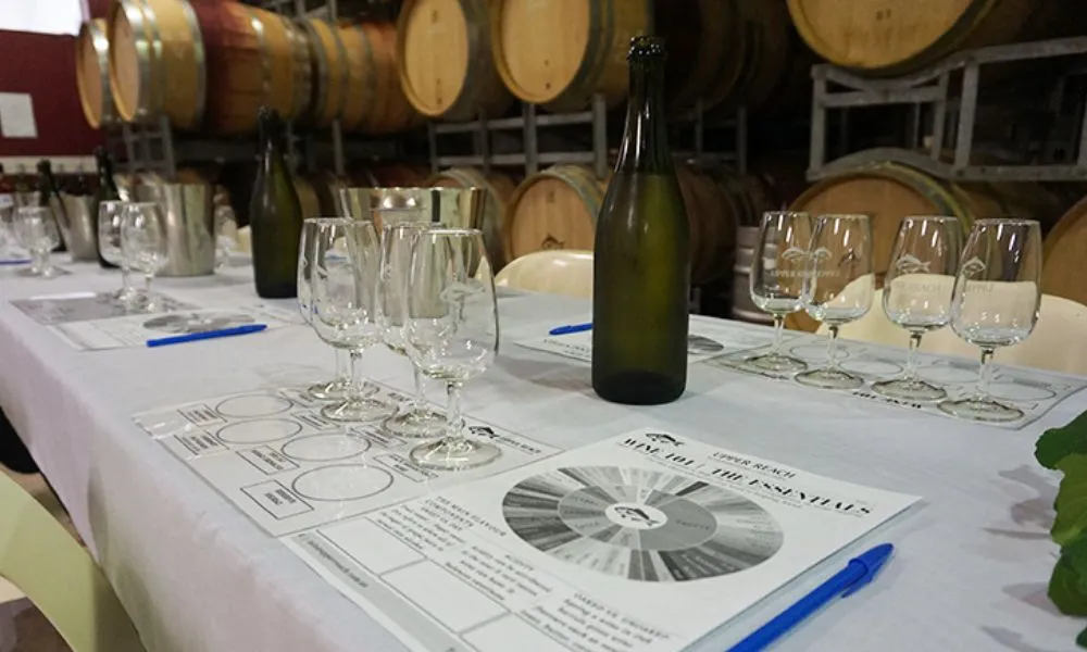 Wine 101 Class with 2 Course Lunch - For 2 | Experience Oz-8