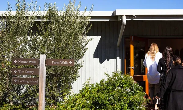 Barossa Valley Wine Tour with Lunch and Helicopter Flight