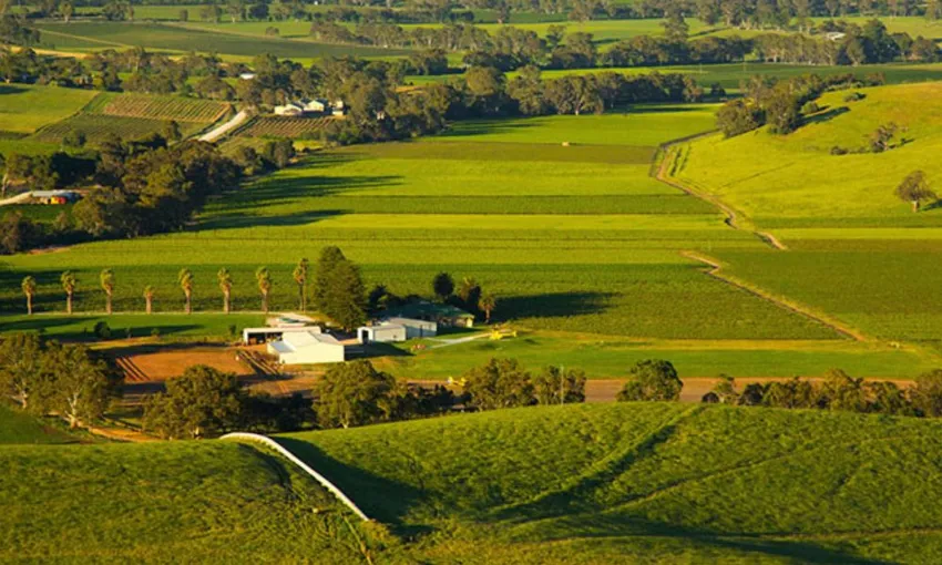 Barossa Valley Wine Tour with Lunch and Helicopter Flight