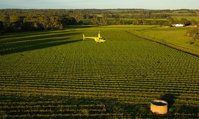 Barossa Valley Wine Tour with Lunch and Helicopter Flight