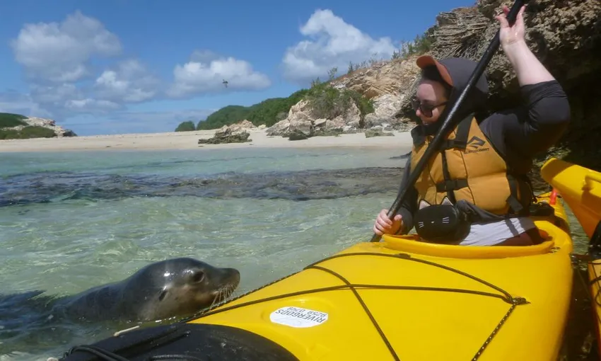 Shoalwater Islands Kayaking Day Trip with Lunch | Experience Oz