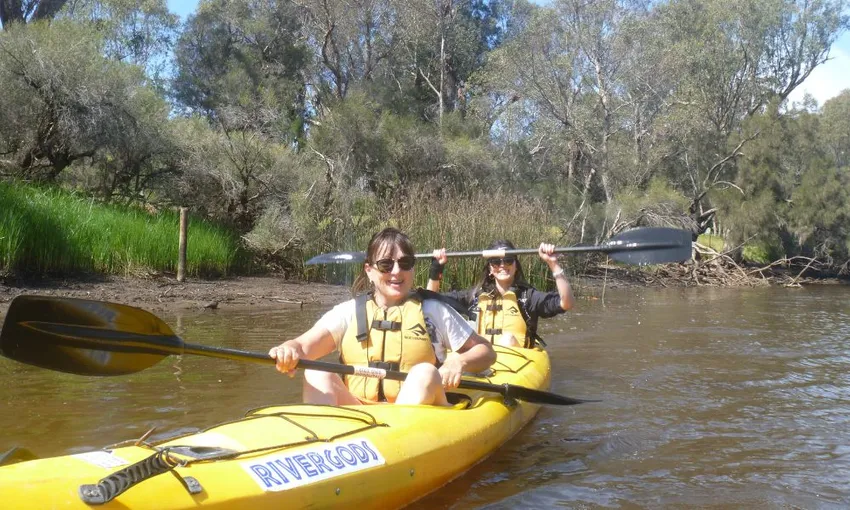 Swan River Guided Kayak Tour - Half Day | Experience Oz