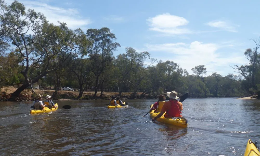 Swan River Guided Kayak Tour - Half Day | Experience Oz-7