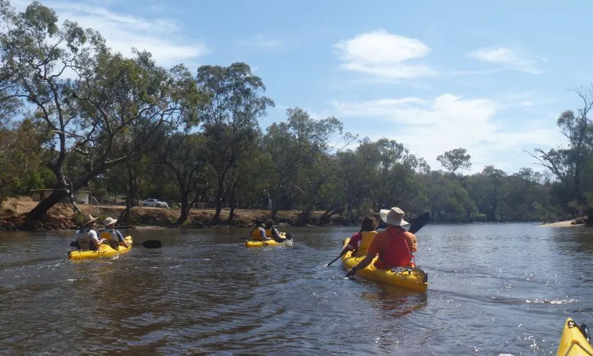 Swan River Guided Kayak Tour - Half Day | Experience Oz