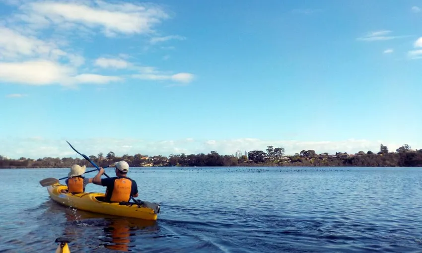 Swan River Guided Kayak Tour - Half Day | Experience Oz