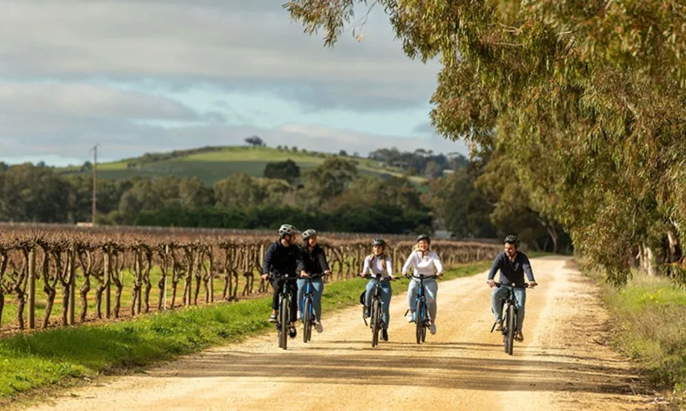 Hahndorf Guided Food and Wine E-Bike Tour | Experience Oz-3