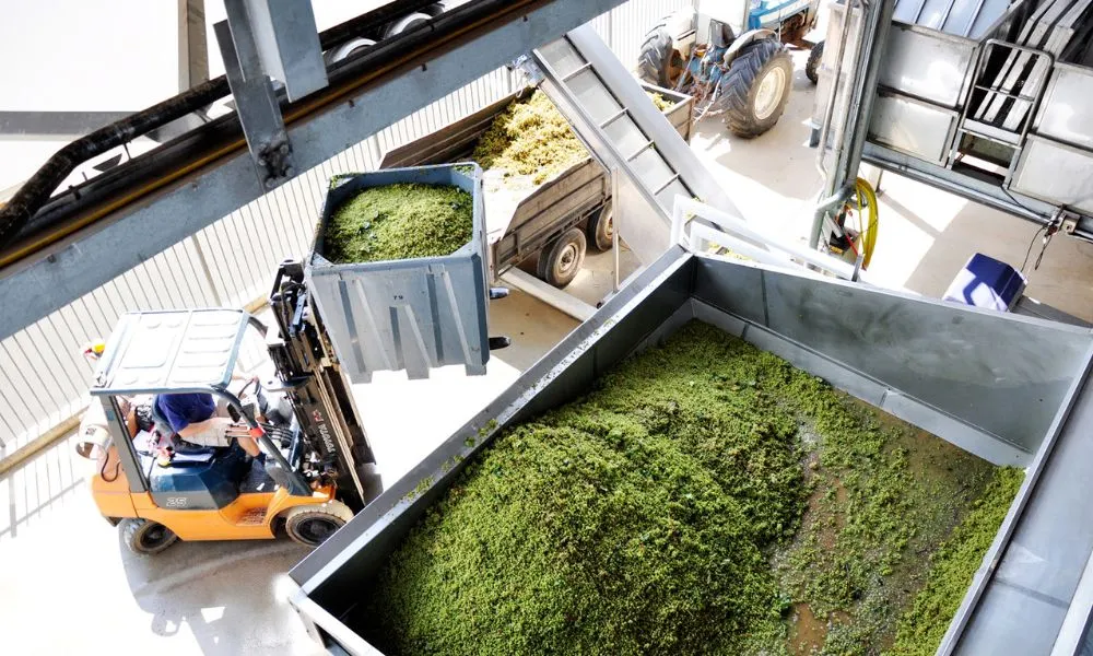 Sirromet Winery Tour and Cafe Lunch - Book Now | Experience Oz-3