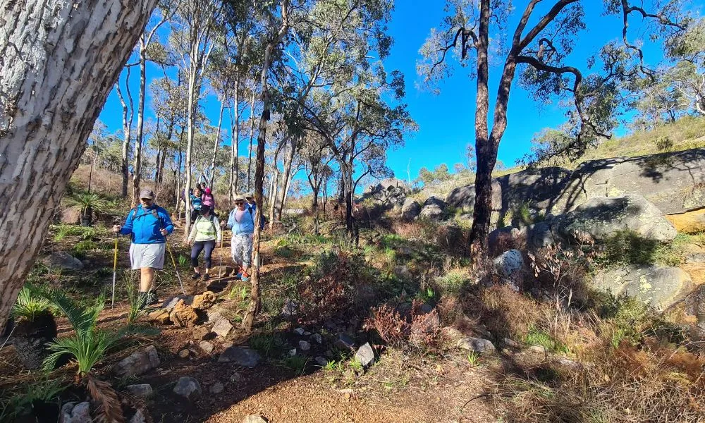 Perth Hills Guided Hike with Lunch and Wine, 8 Hours | Experience Oz-1