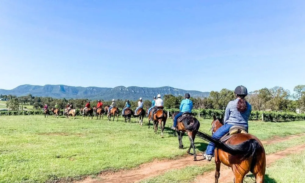 Hunter Valley Bushland Trail Horse Ride - 1 Hour | Experience Oz-2