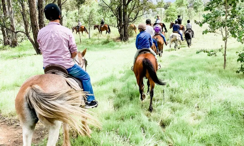 Hunter Valley Bushland Trail Horse Ride - 1 Hour | Experience Oz