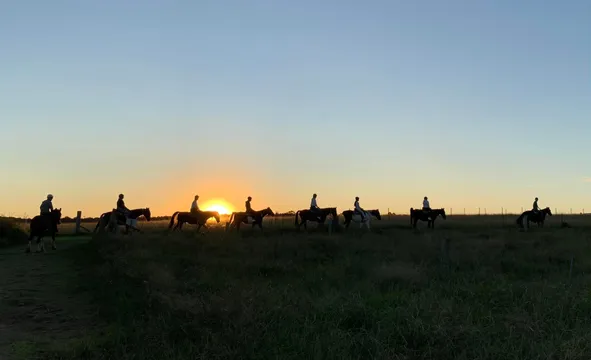 Horseback Trail Ride - 90 Minutes - Vineyard & Mountain Views