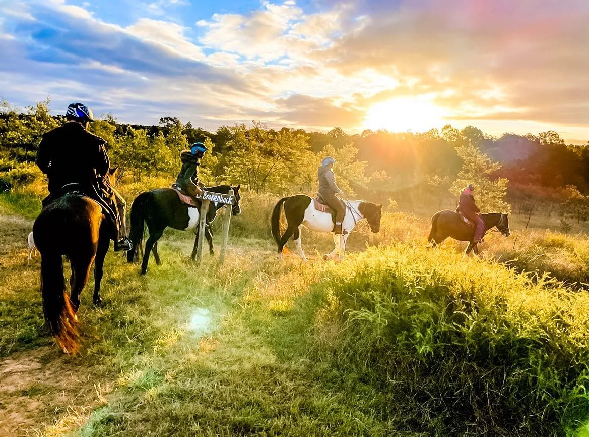 Horseback Trail Ride - 90 Minutes - Vineyard & Mountain Views | Experience Oz-3