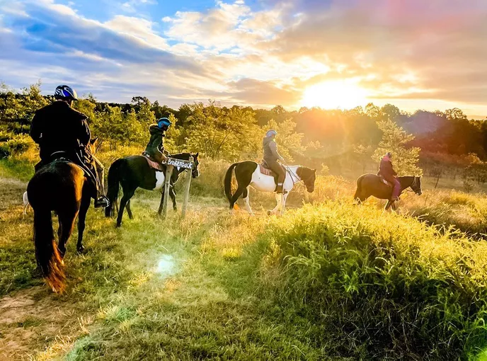 Horseback Trail Ride - 90 Minutes - Vineyard & Mountain Views | Experience Oz
