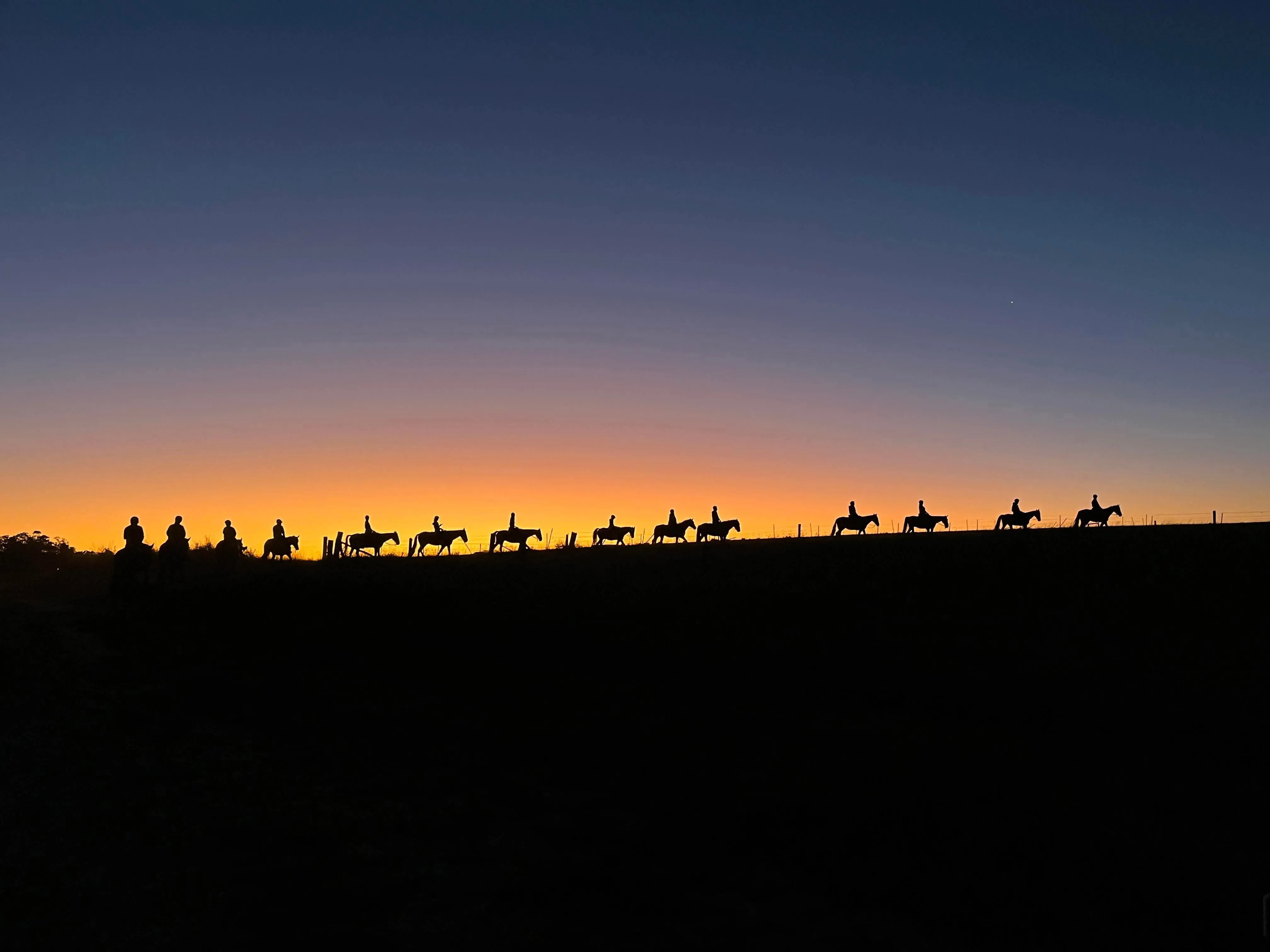 Horseback Trail Ride - 90 Minutes - Vineyard & Mountain Views | Experience Oz-6