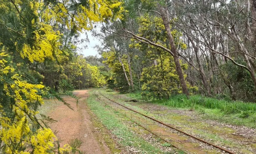 Dwellingup Hike and Train Ride with Pizza | Experience Oz