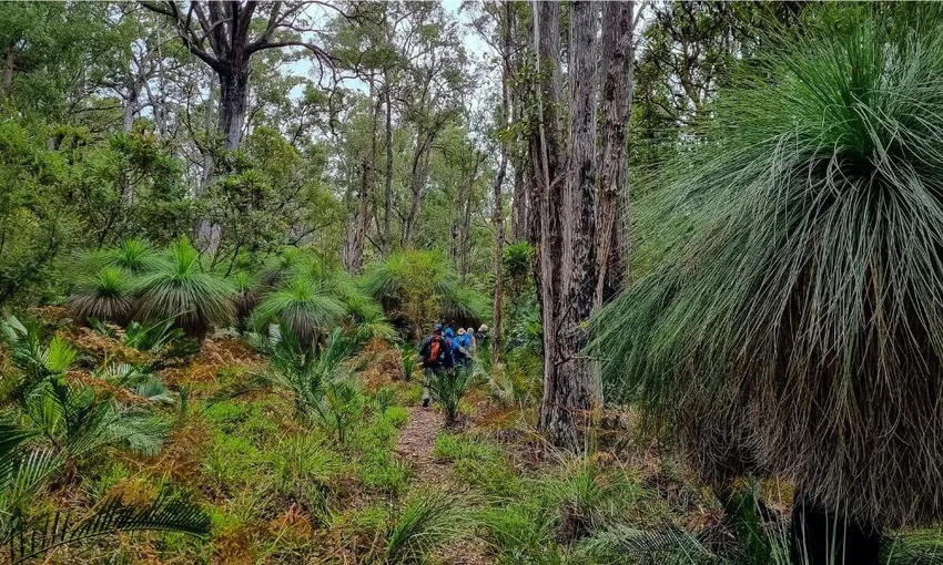 Dwellingup Hike and Train Ride with Pizza | Experience Oz