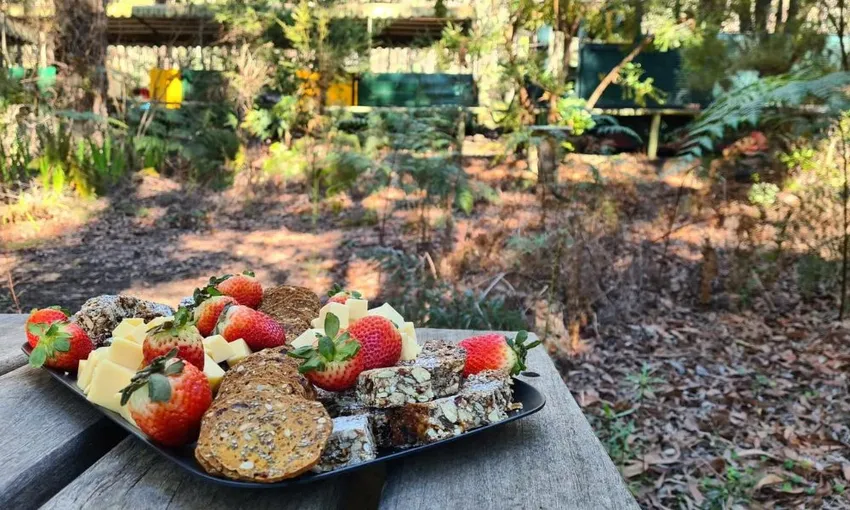 Dwellingup Hike and Train Ride with Pizza | Experience Oz