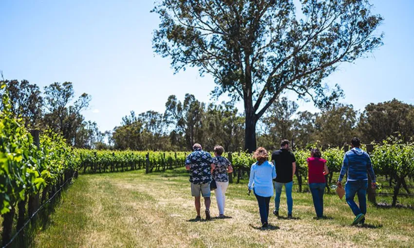 Upper Reach Winery Tour and Tasting - Book Now | Experience Oz