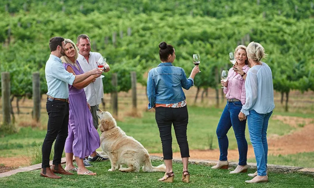 Upper Reach Winery Tour and Tasting - Book Now | Experience Oz-5
