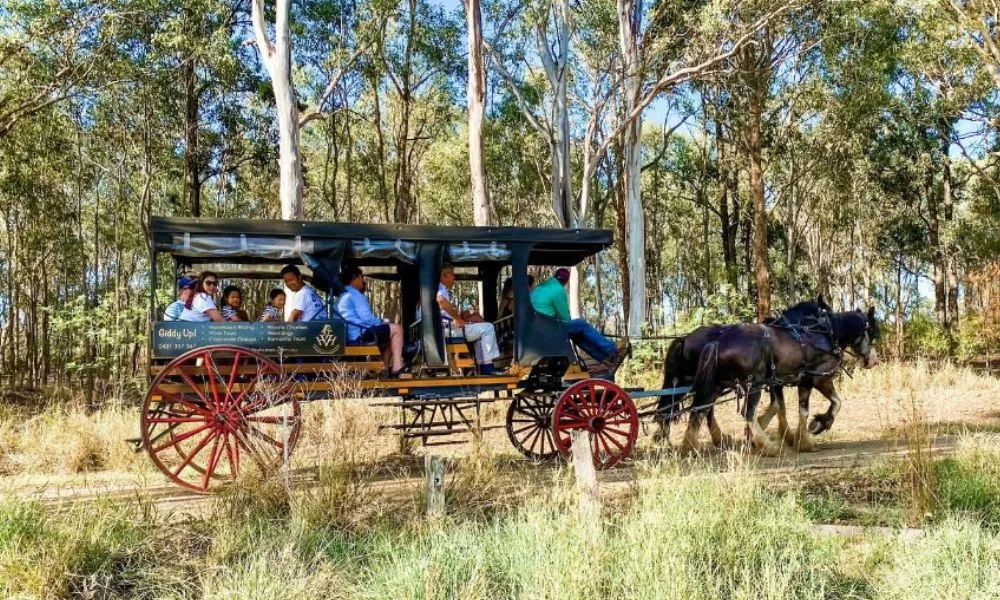 Horse Drawn Carriage Vineyard Ride - 45 Minutes | Experience Oz-4