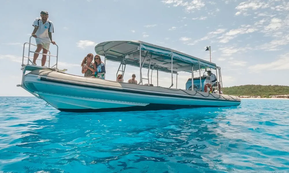 Hervey Bay Whale Watching and Fraser Island Beach Tour | Experience Oz-3