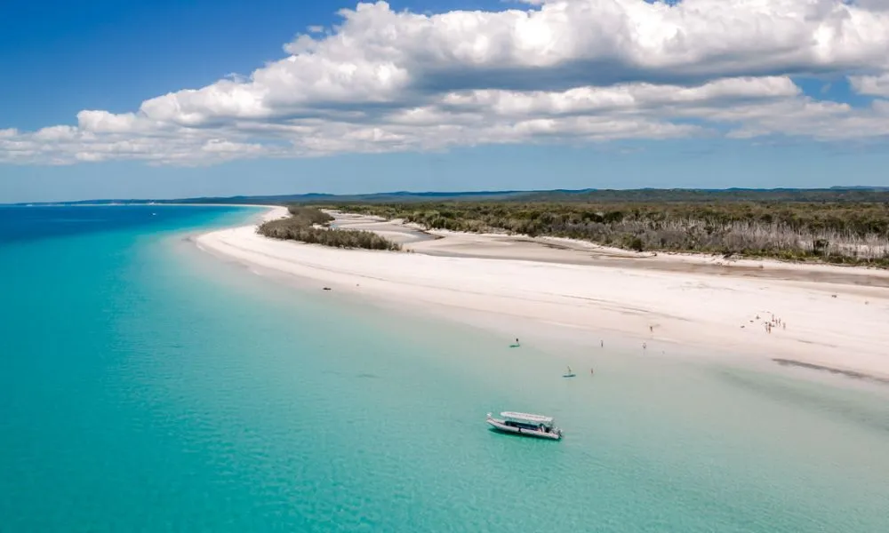 Hervey Bay Whale Watching and Fraser Island Beach Tour | Experience Oz-6