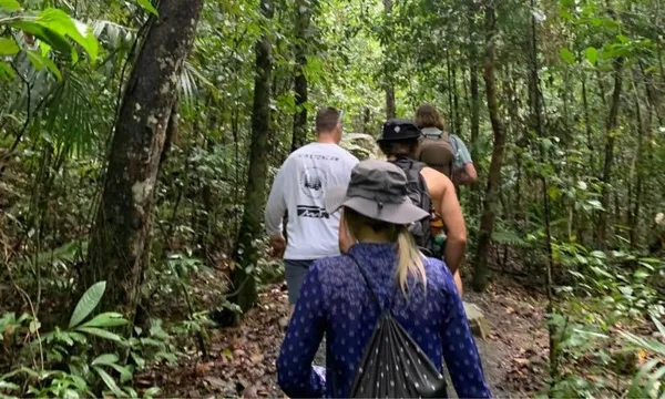 Finch Hatton Gorge Guided Hike and Swim From Mackay