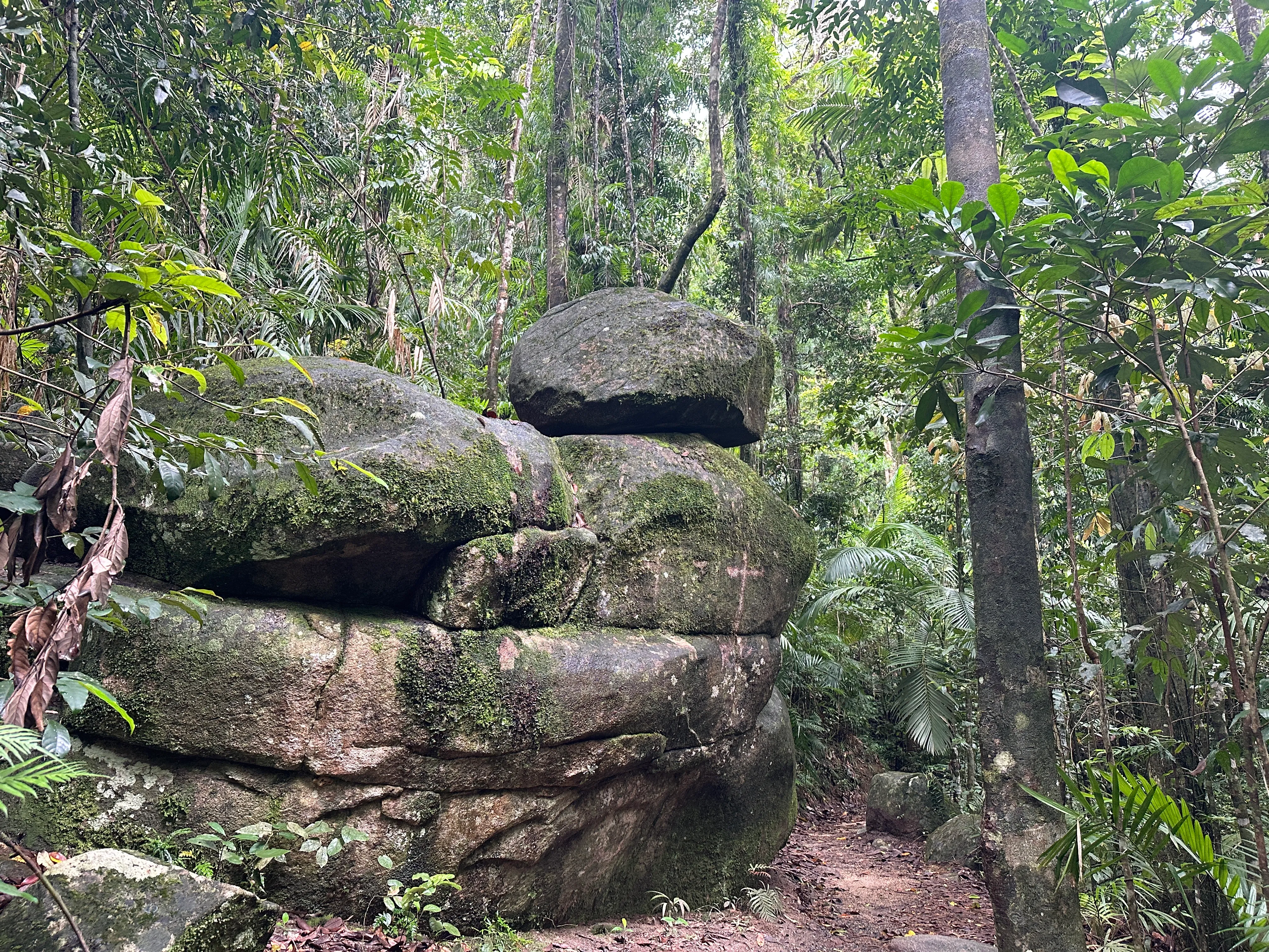 Finch Hatton Gorge Guided Hiking Tour from Mackay | Experience Oz-6